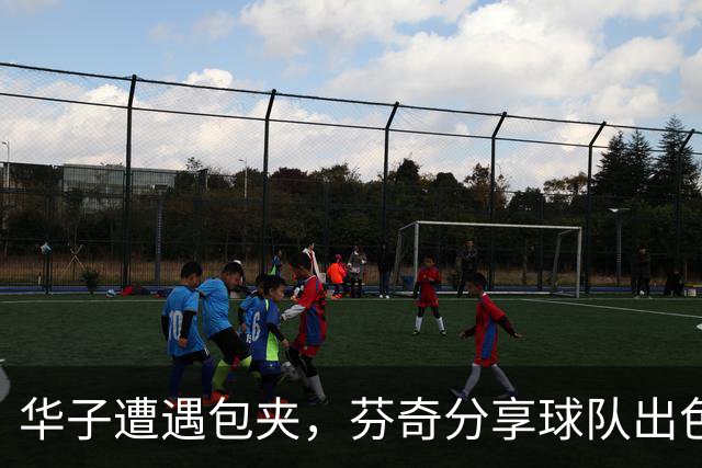 华子遭遇包夹，芬奇分享球队出色表现与进攻战术